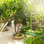 Typical Sicilian House With Garden In The Historic Center Piazza Armerina