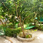Typical Sicilian House With Garden In The Historic Center *
